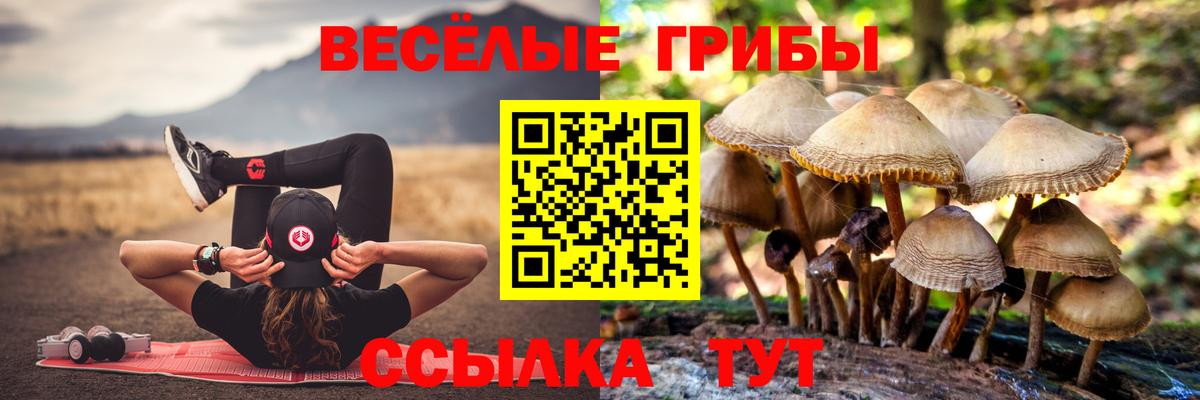Галлюциногенные грибы Magic Shrooms  Вход с VPN  Амурск  Галлюциногенные грибы MAGIC MUSHROOMS 
